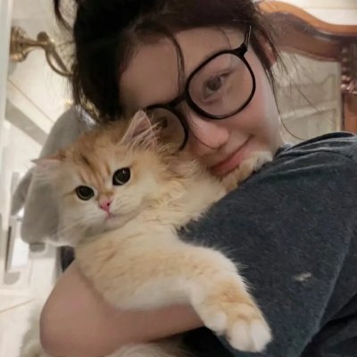 辛巴达与美人鱼公主