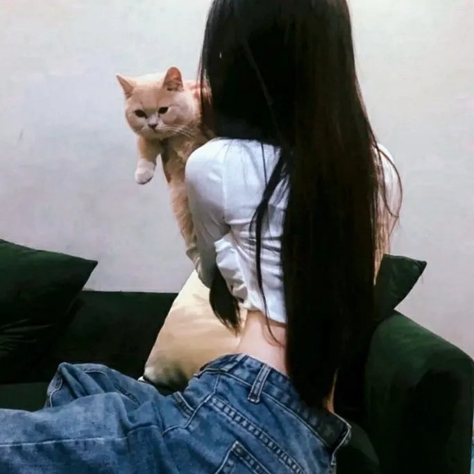 歌舞飞扬